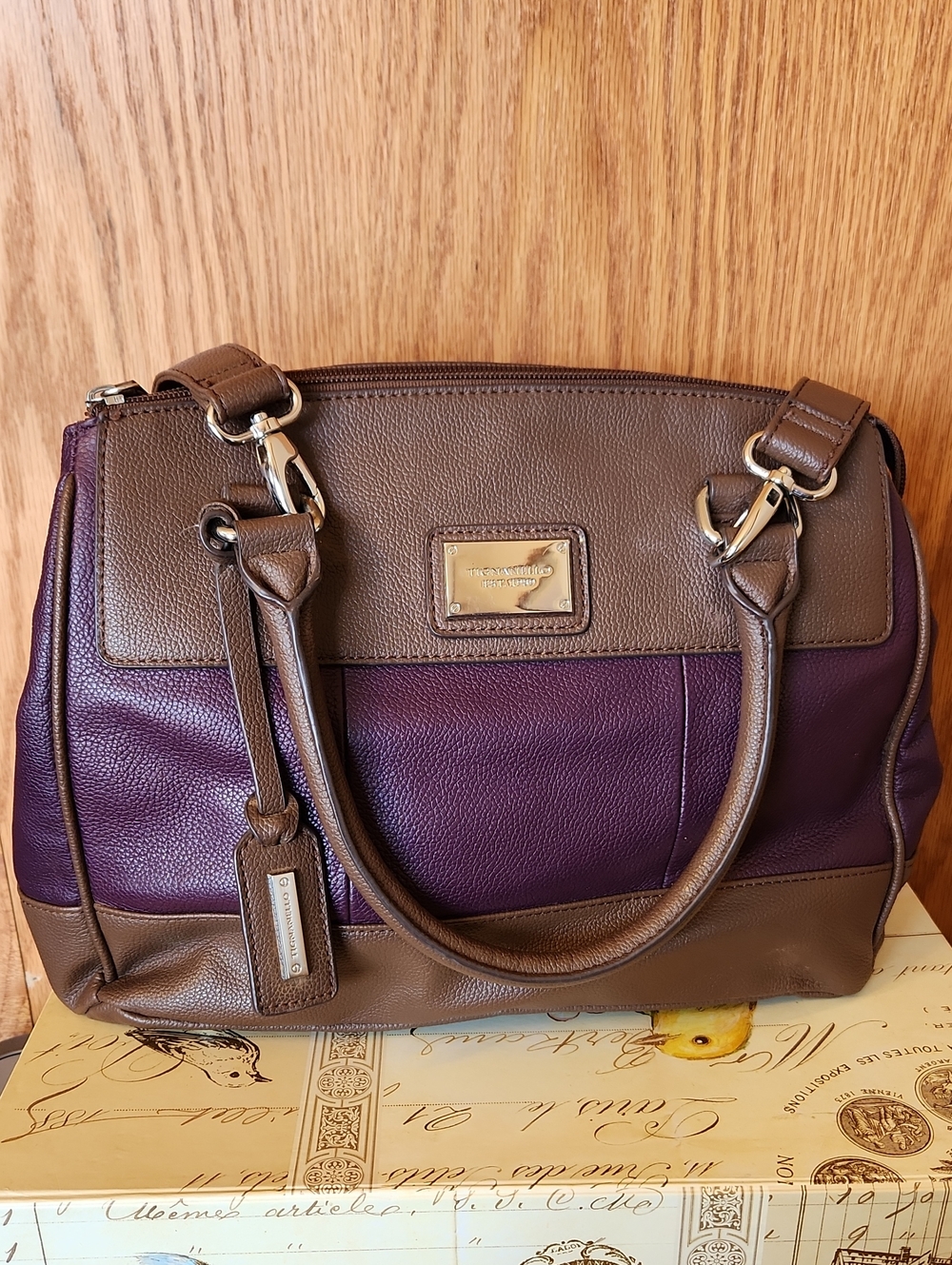 Tignanello Brown and Plum Two-Tone Leather Satchel